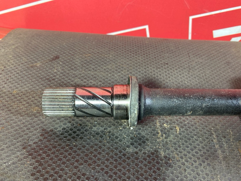 Привод, 6000 рублей, Солонцы