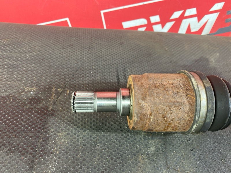 Привод, 1200 рублей, Солонцы