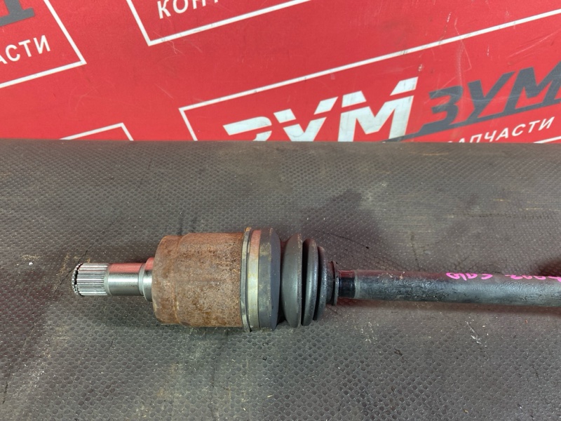 Привод, 1200 рублей, Солонцы