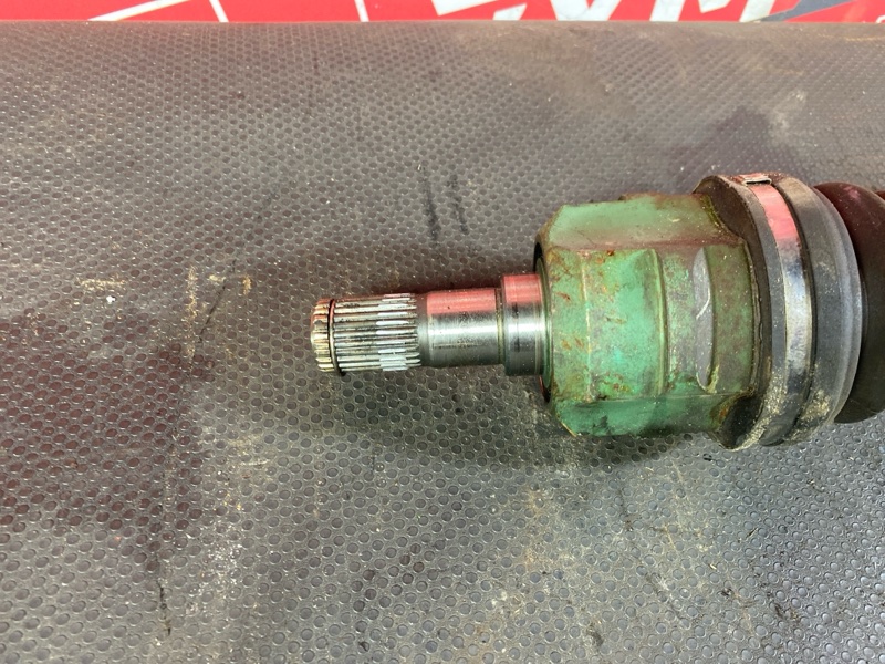 Привод, 6000 рублей, Солонцы