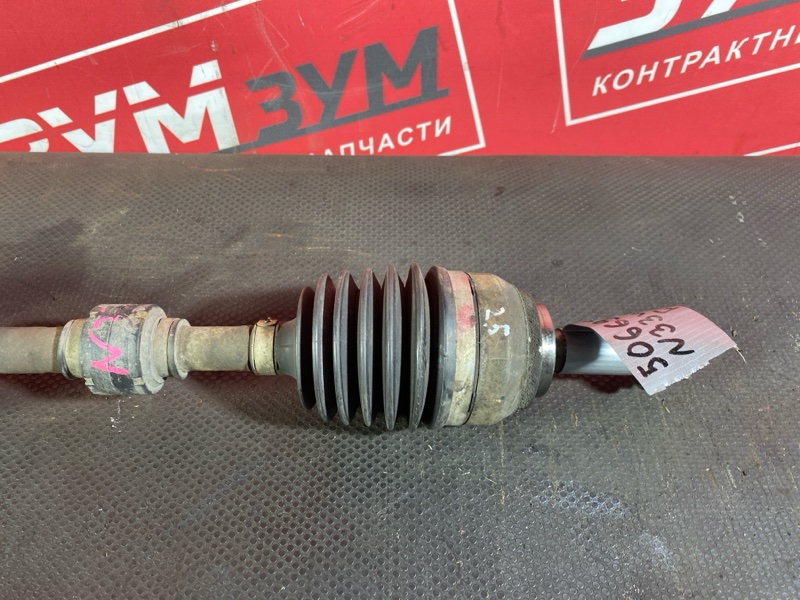 Привод, 6000 рублей, Солонцы