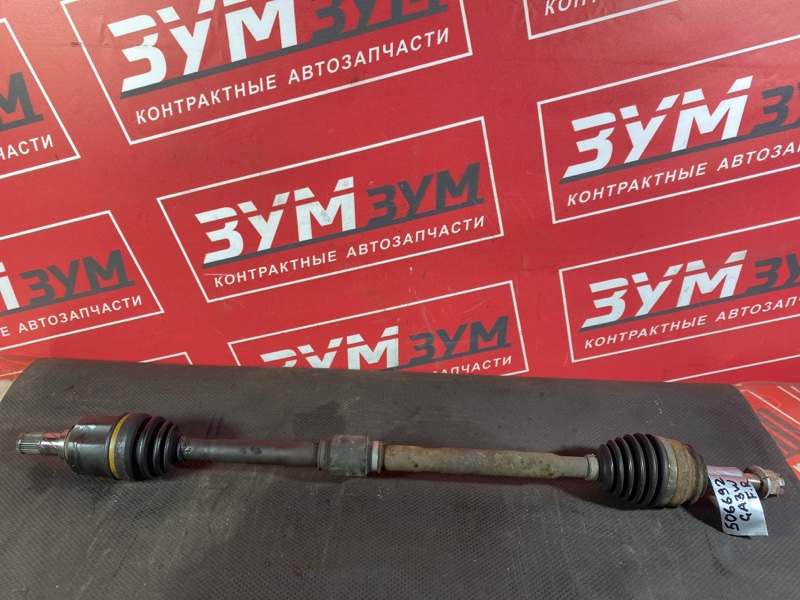 Привод, 3000 рублей, Солонцы