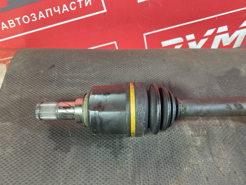 Привод, 3000 рублей, Солонцы