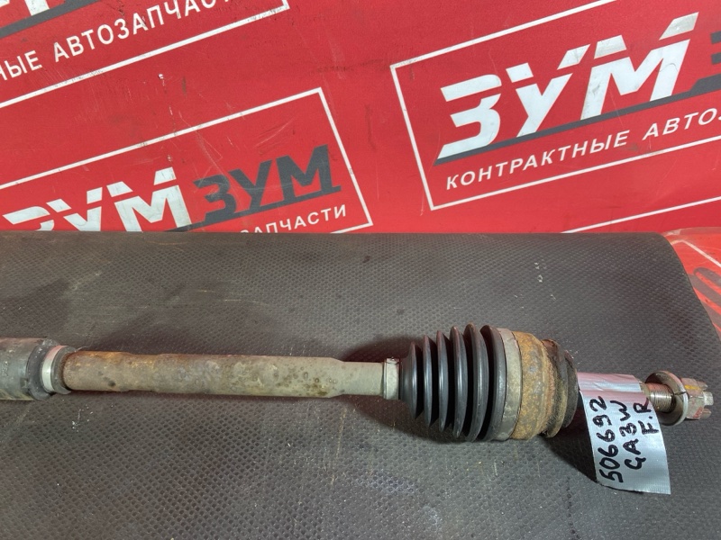 Привод, 3000 рублей, Солонцы