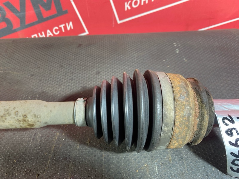 Привод, 3000 рублей, Солонцы