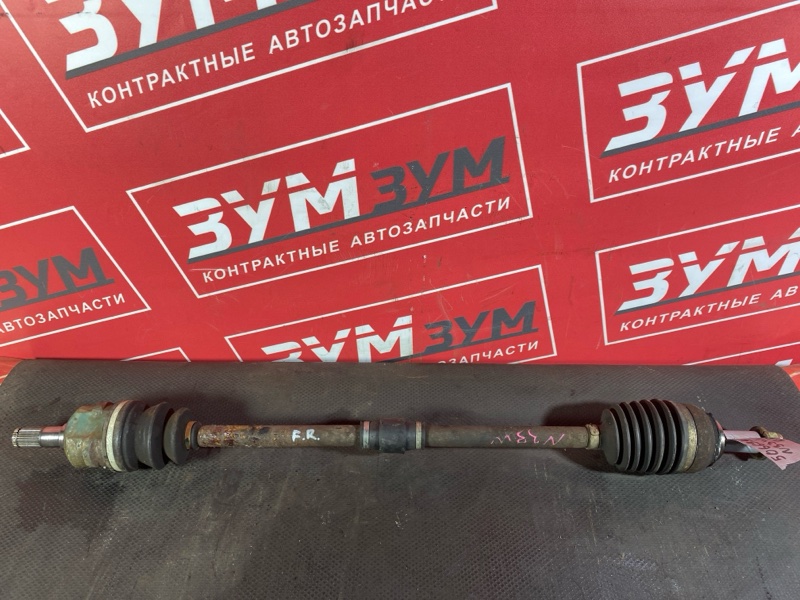 Привод, 6000 рублей, Солонцы