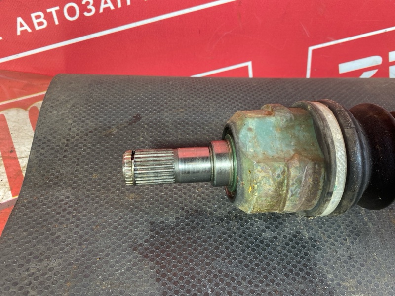 Привод, 6000 рублей, Солонцы