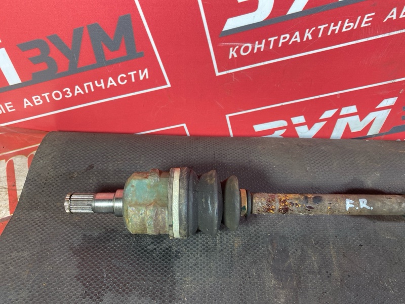 Привод, 6000 рублей, Солонцы