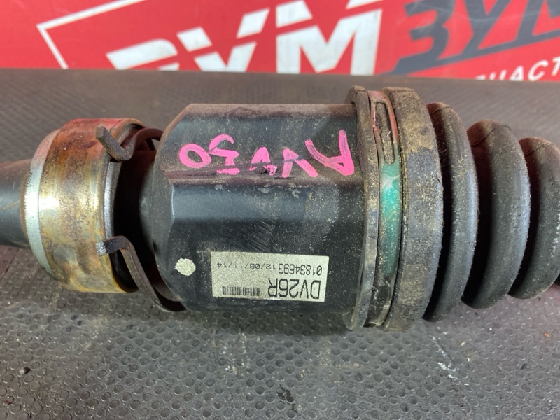 Привод, 7000 рублей, Солонцы