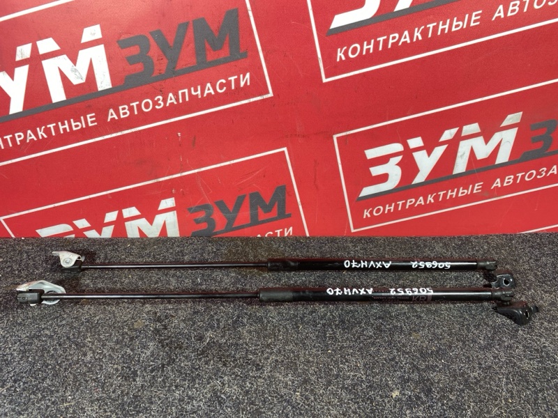 Амортизатор капота, 2500 рублей, Солонцы