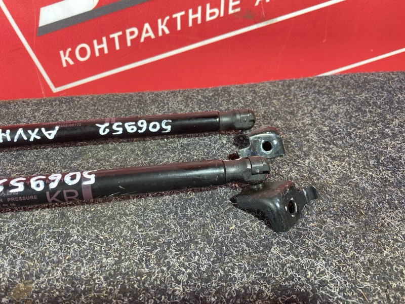 Амортизатор капота, 2500 рублей, Солонцы