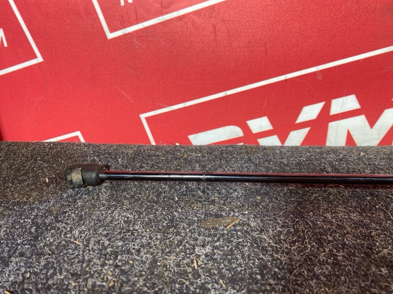 Амортизатор капота, 1000 рублей, Солонцы