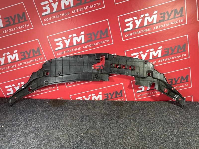 Накладка на решетку радиатора, 2000 рублей, Солонцы