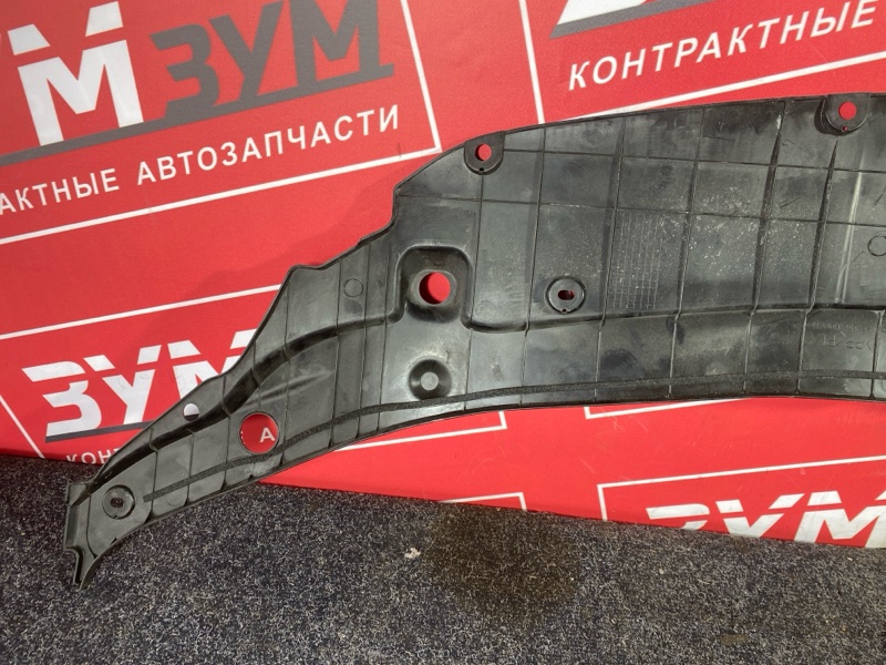 Накладка на решетку радиатора, 2000 рублей, Солонцы