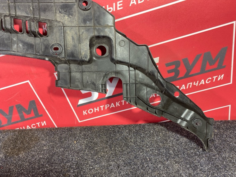 Накладка на решетку радиатора, 2000 рублей, Солонцы