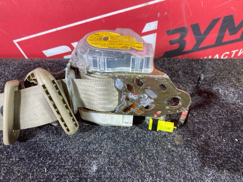 Ремень безопасности, 8000 рублей, Солонцы