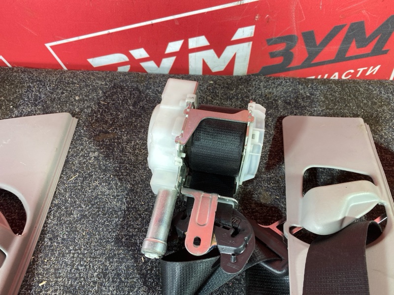 Ремень безопасности, 30000 рублей, Солонцы