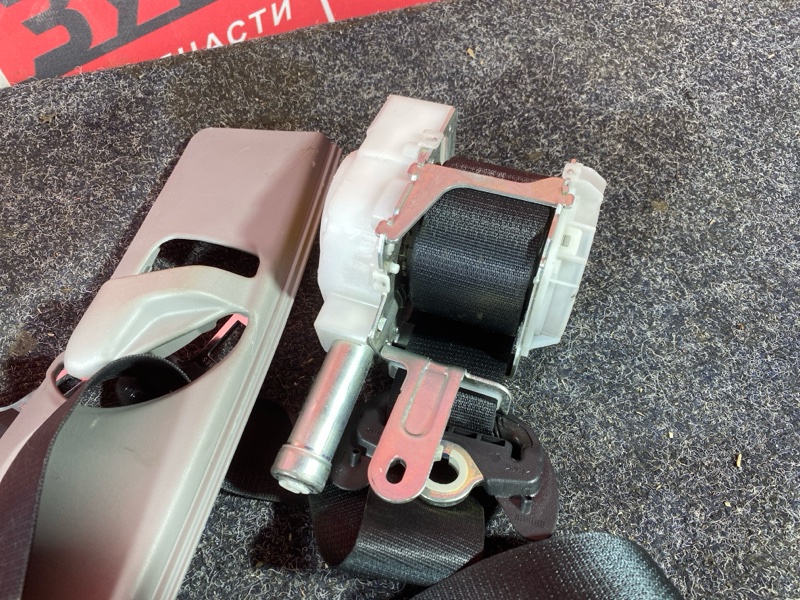 Ремень безопасности, 30000 рублей, Солонцы