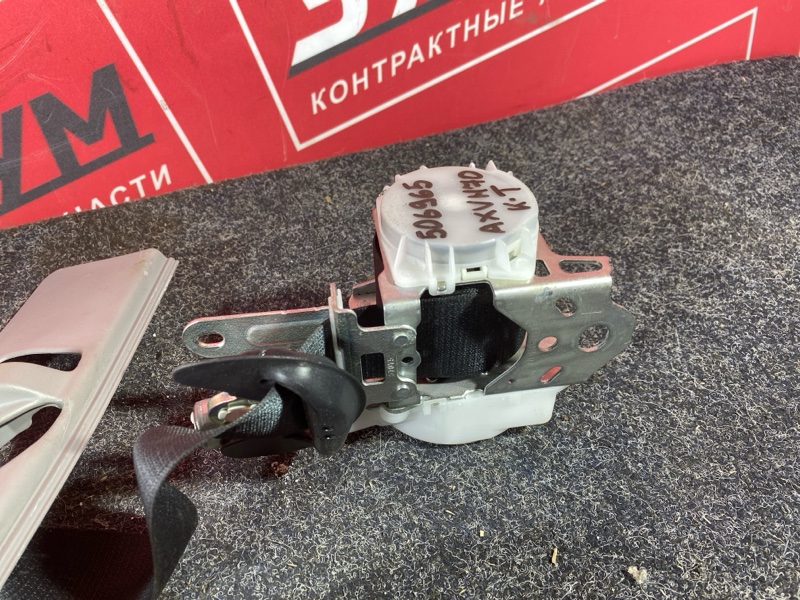 Ремень безопасности, 30000 рублей, Солонцы