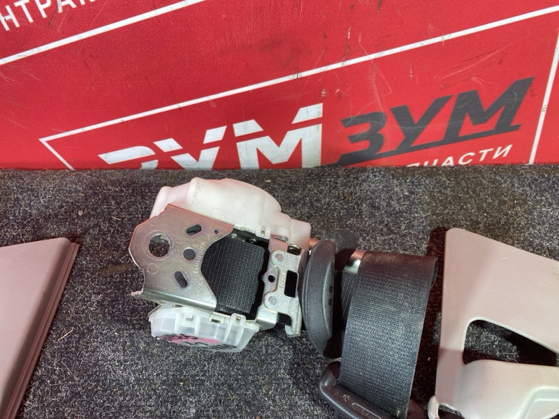 Ремень безопасности, 30000 рублей, Солонцы