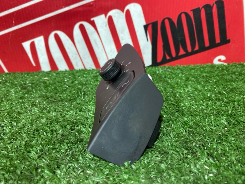 Блок управления зеркалами, 2000 рублей, Солонцы