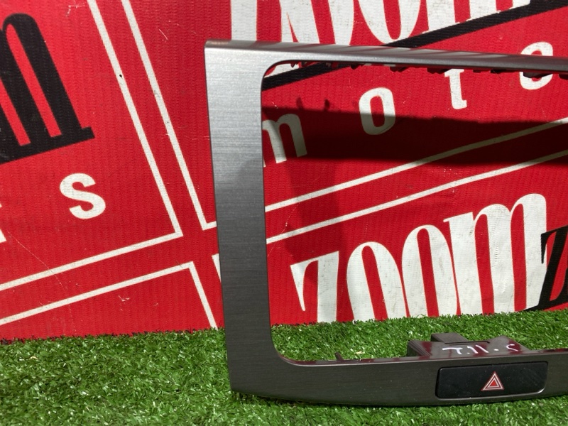 Рамка магнитолы, 600 рублей, Солонцы