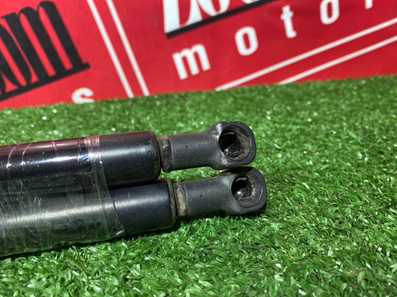 Амортизатор багажника, 2000 рублей, Солонцы