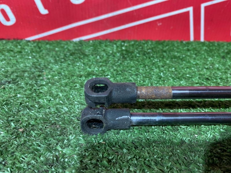 Амортизатор багажника, 2000 рублей, Солонцы