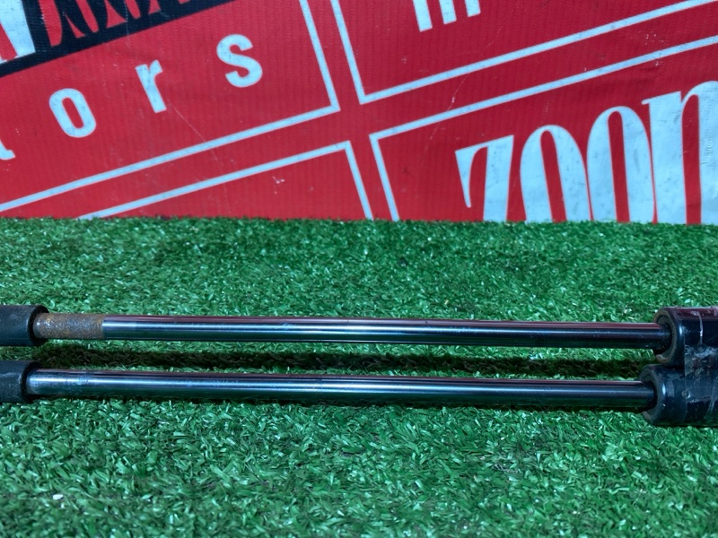 Амортизатор багажника, 2000 рублей, Солонцы