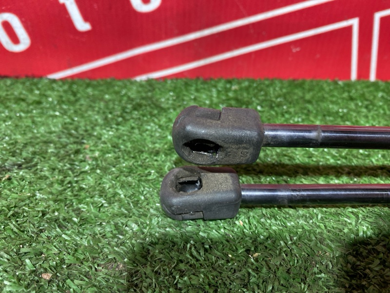 Амортизатор багажника, 1000 рублей, Солонцы