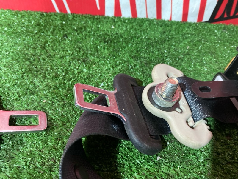 Ремень безопасности, 15000 рублей, Солонцы