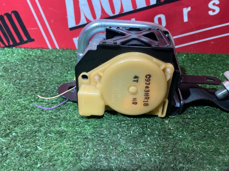 Ремень безопасности, 15000 рублей, Солонцы