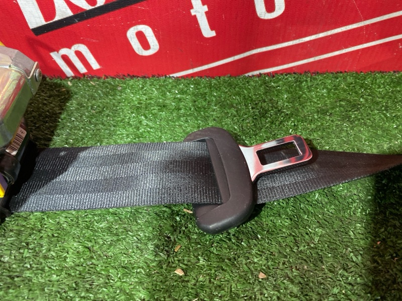 Ремень безопасности, 18000 рублей, Солонцы