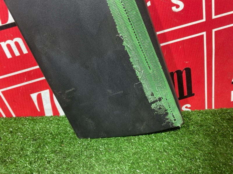 Накладка двери, 1000 рублей, Солонцы