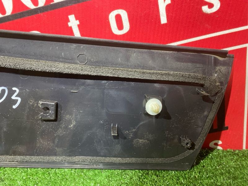 Накладка двери, 1000 рублей, Солонцы