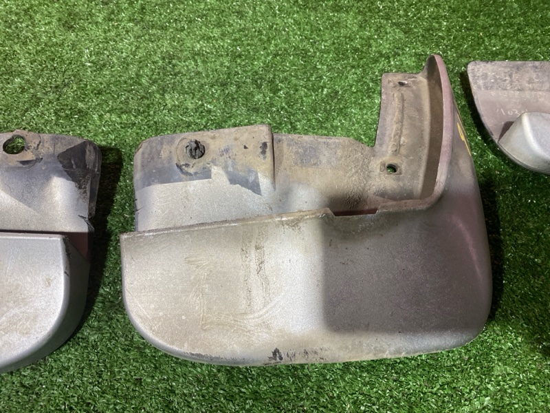 Брызговик, 1500 рублей, Солонцы