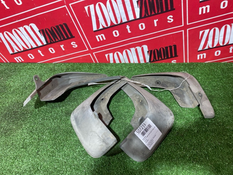 Брызговик, 2000 рублей, Солонцы