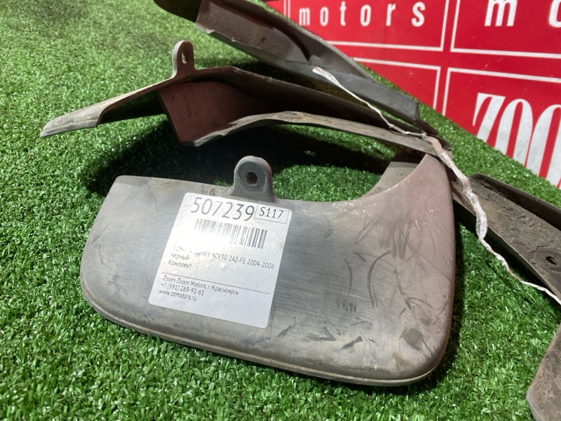 Брызговик, 2000 рублей, Солонцы