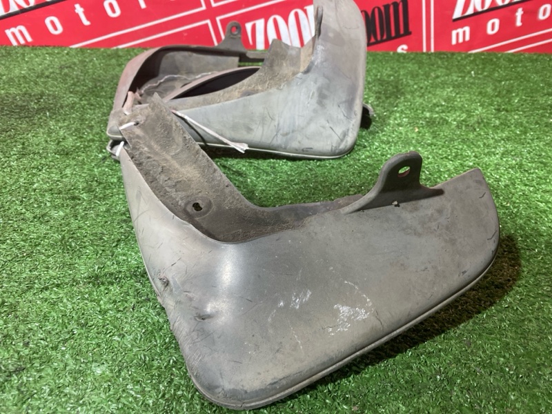 Брызговик, 2000 рублей, Солонцы