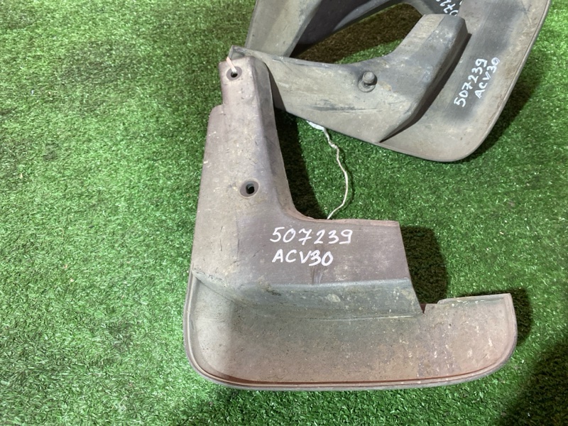 Брызговик, 2000 рублей, Солонцы