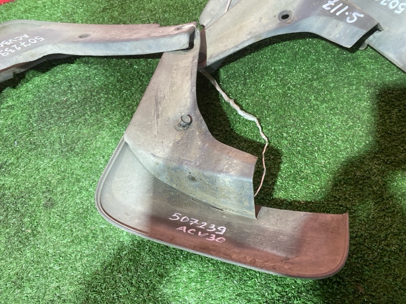 Брызговик, 2000 рублей, Солонцы