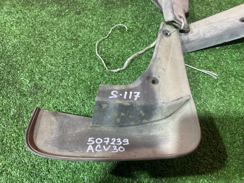 Брызговик, 2000 рублей, Солонцы