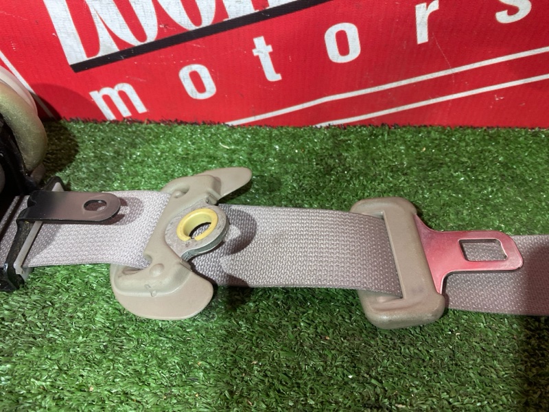 Ремень безопасности, 9000 рублей, Солонцы