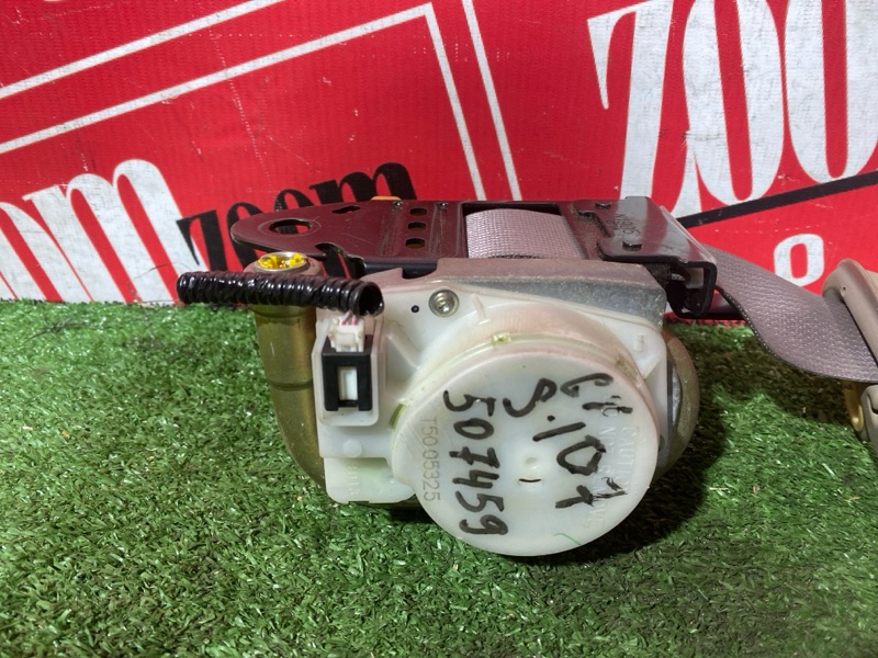 Ремень безопасности, 9000 рублей, Солонцы