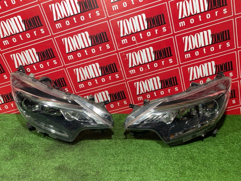 Nose cut, 260000 рублей, Солонцы