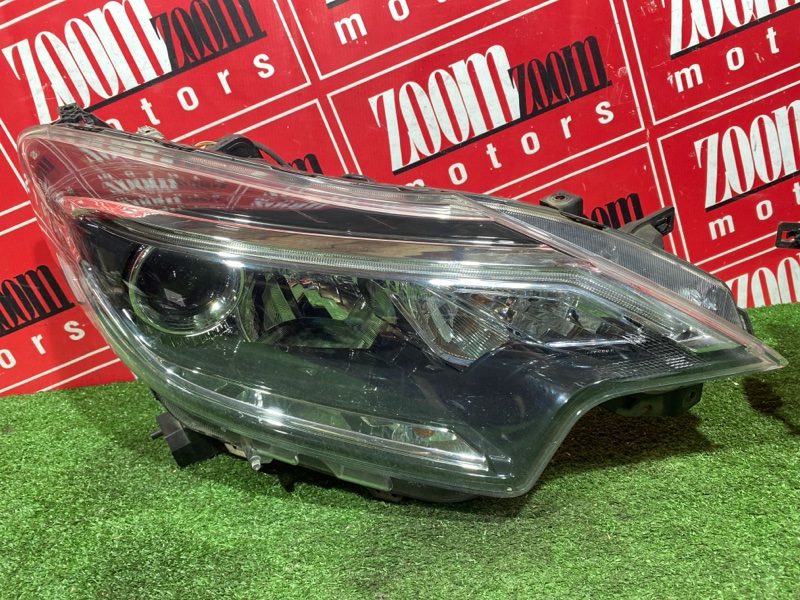 Nose cut, 260000 рублей, Солонцы