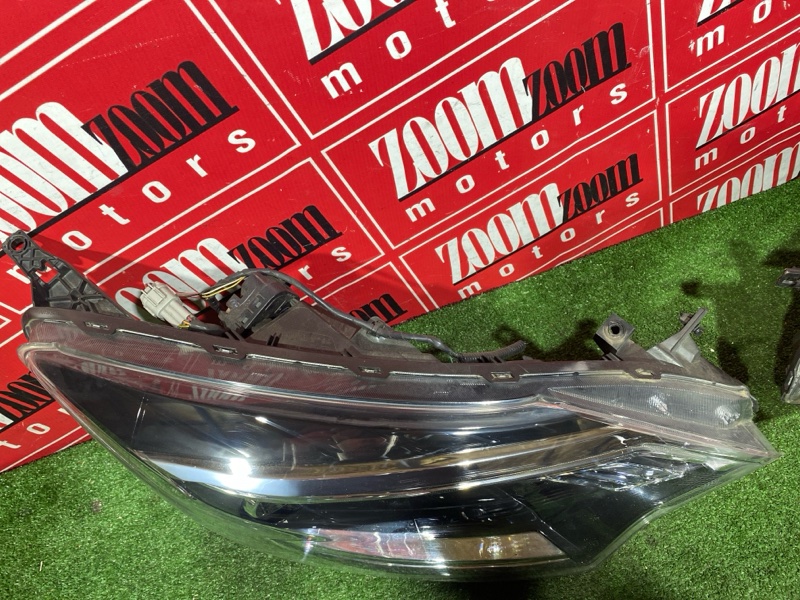 Nose cut, 260000 рублей, Солонцы