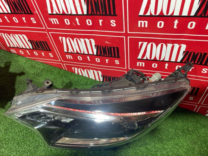 Nose cut, 260000 рублей, Солонцы