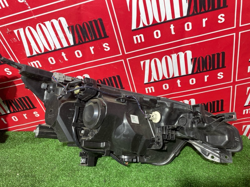 Nose cut, 260000 рублей, Солонцы