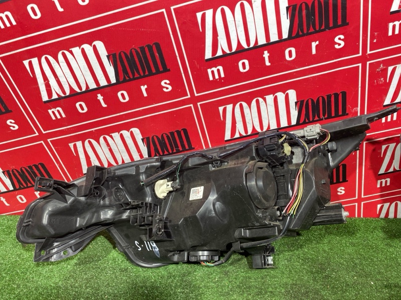 Nose cut, 260000 рублей, Солонцы